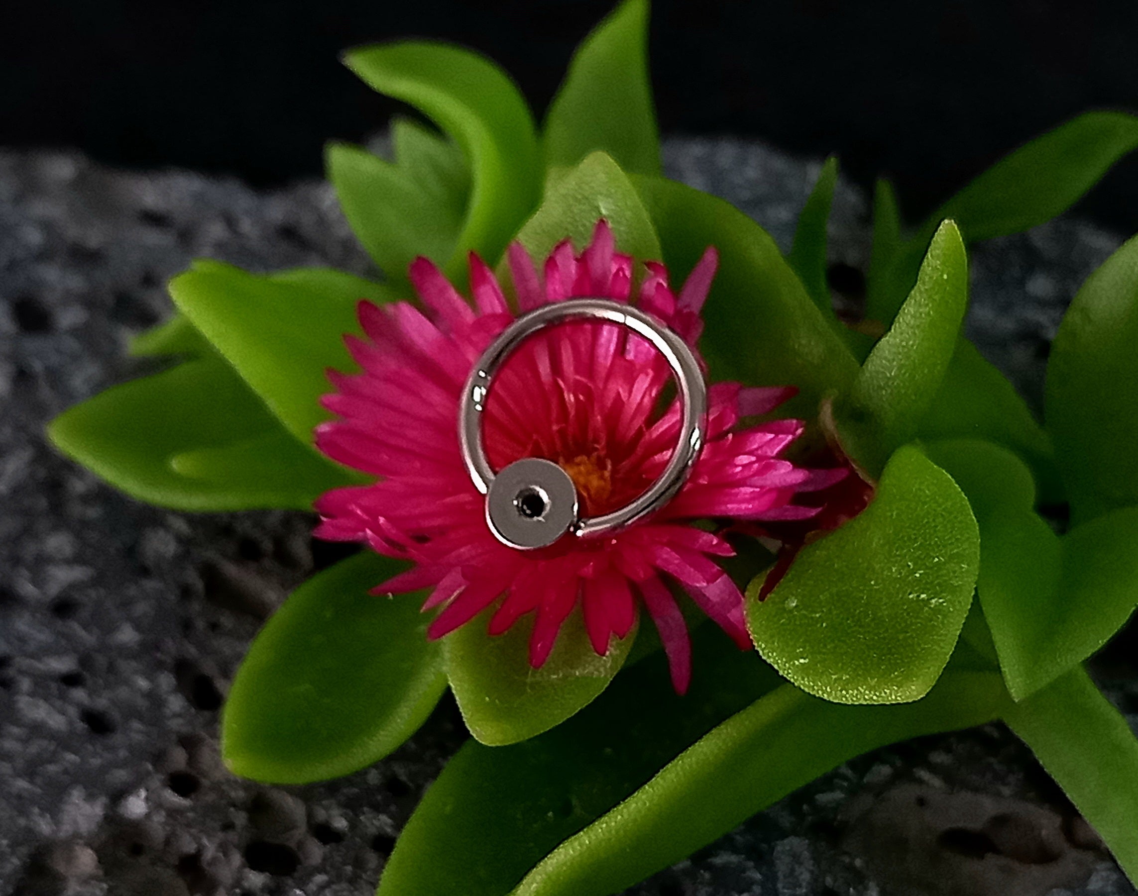 Captive cluster para armar