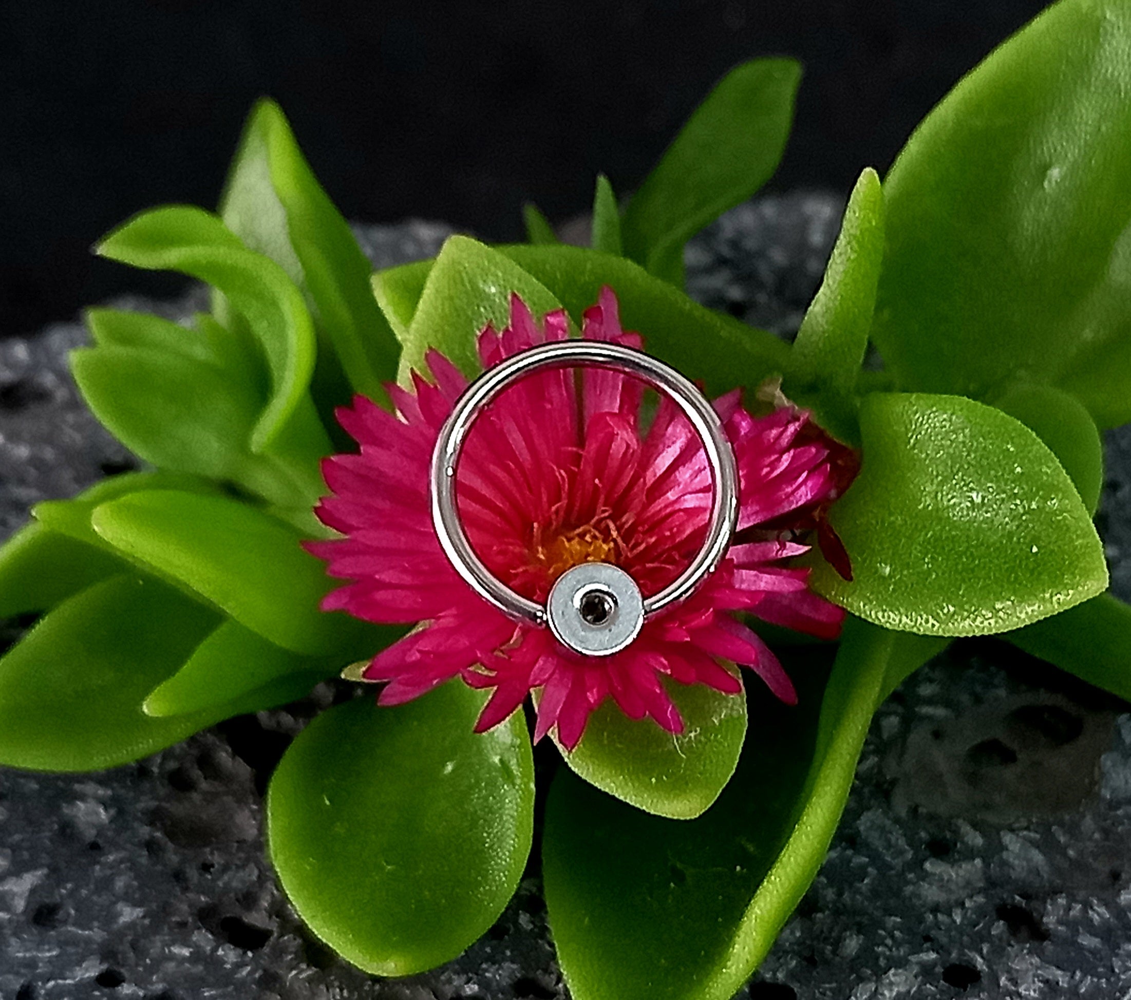 Captive cluster para armar