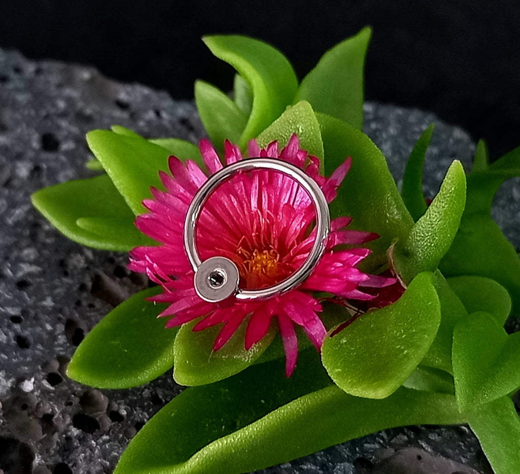 Captive cluster para armar