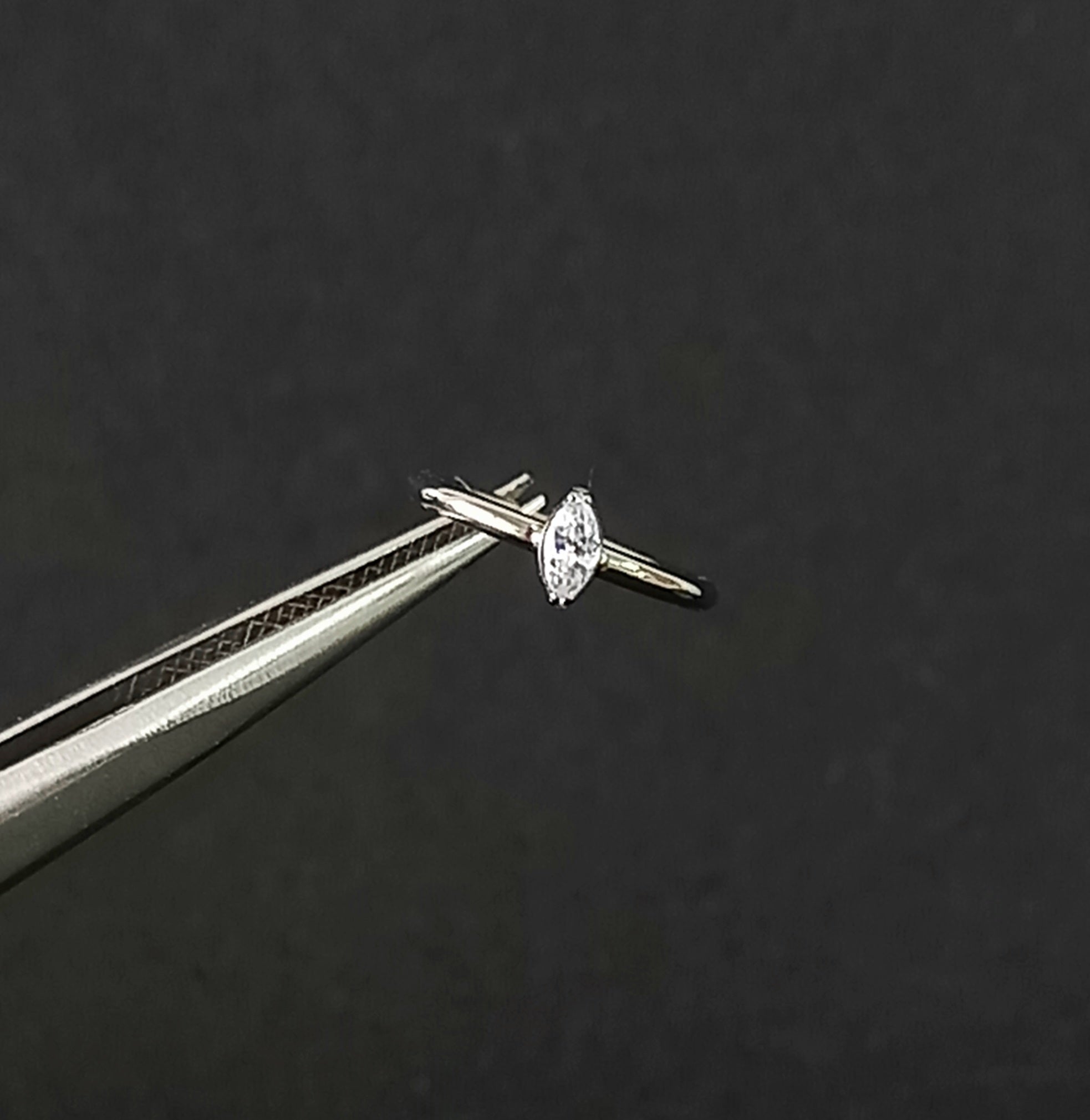 Argolla clicker con un brillo lateral