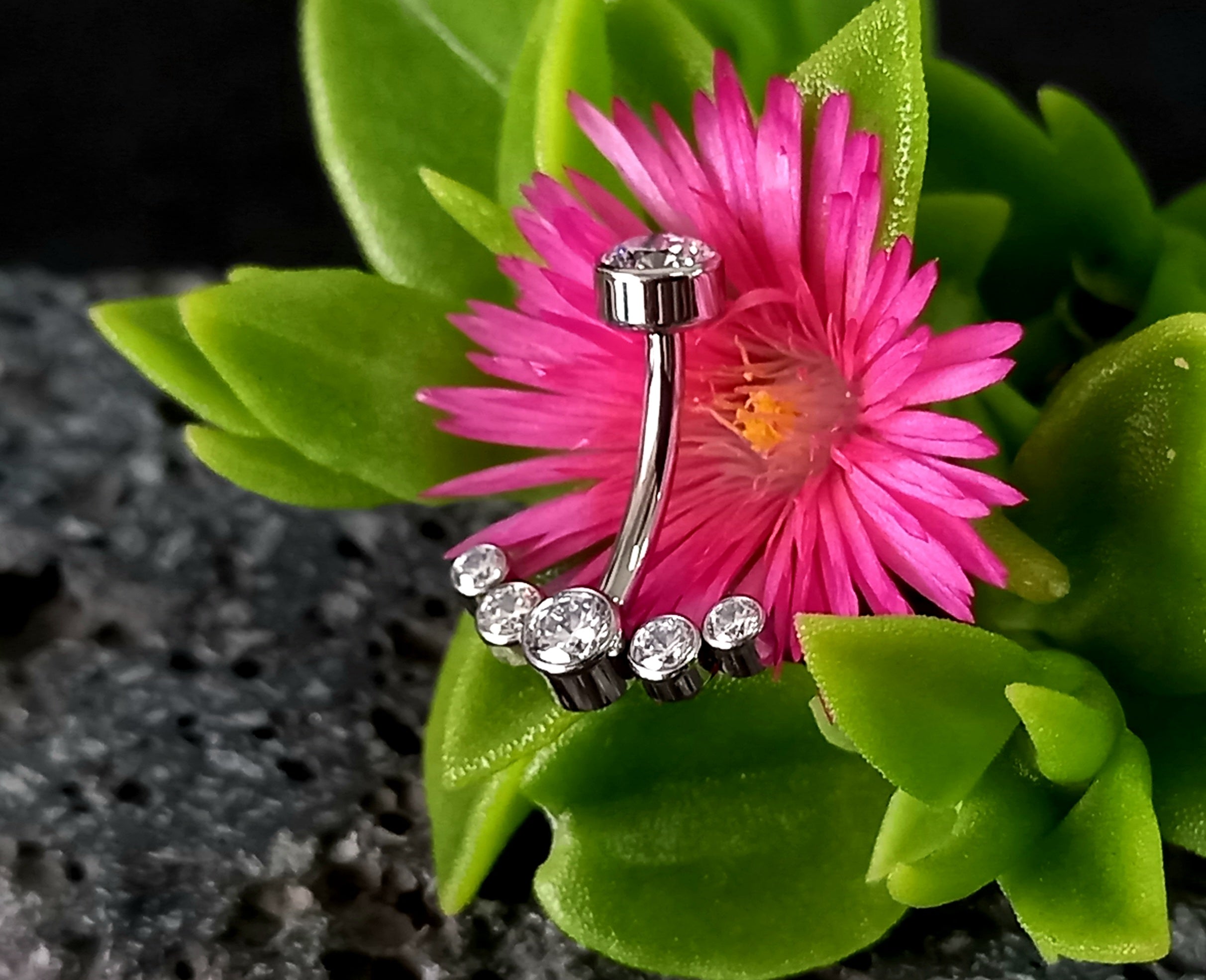 Navel media luna clear