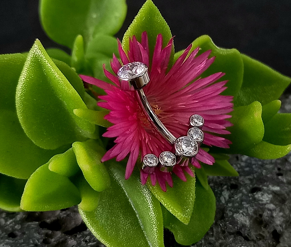 Navel media luna clear