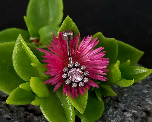 Titanio grado implante.. Navel flor 10 petalos rosa