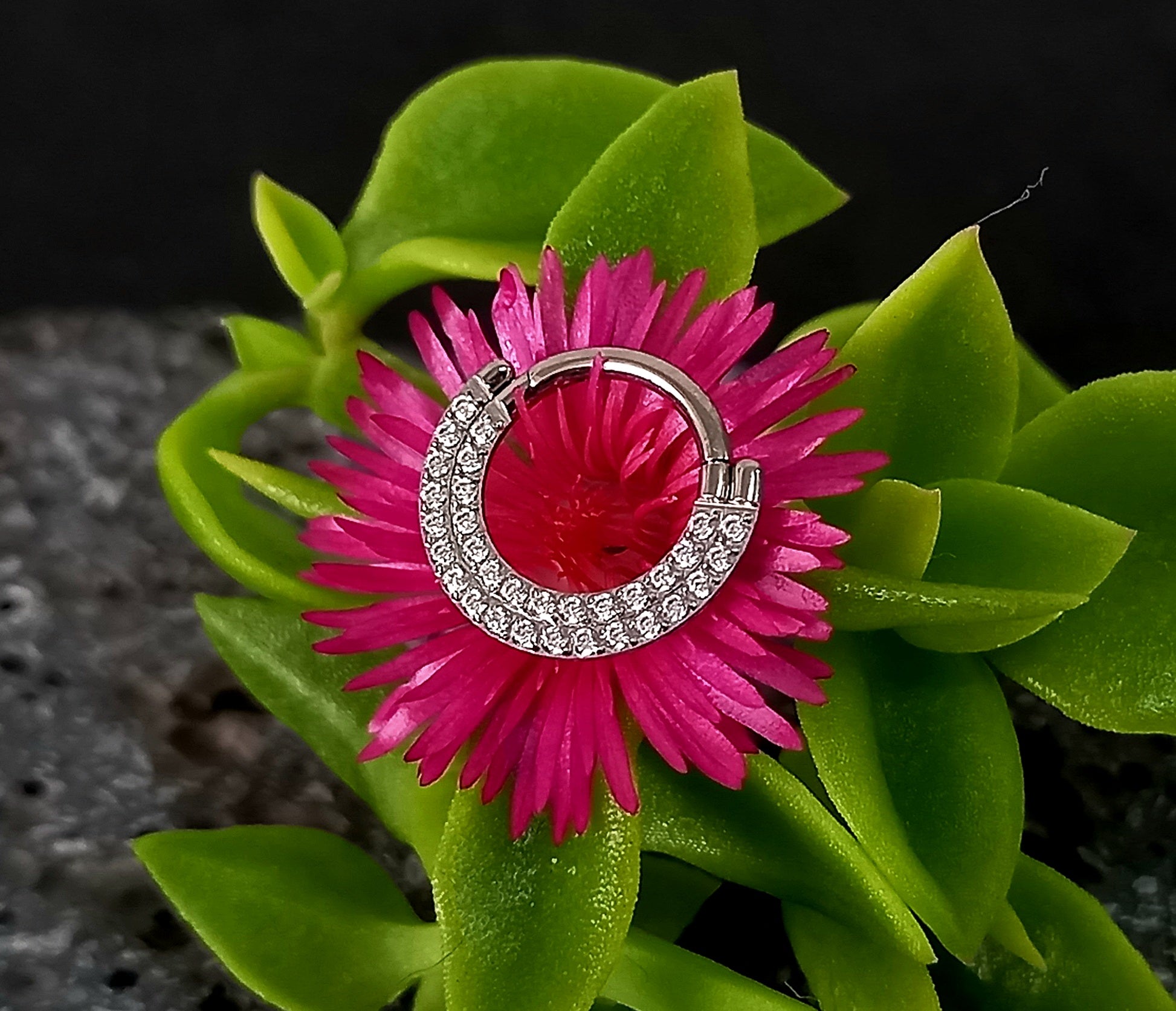 Argolla clicker doble brillo frontal clear