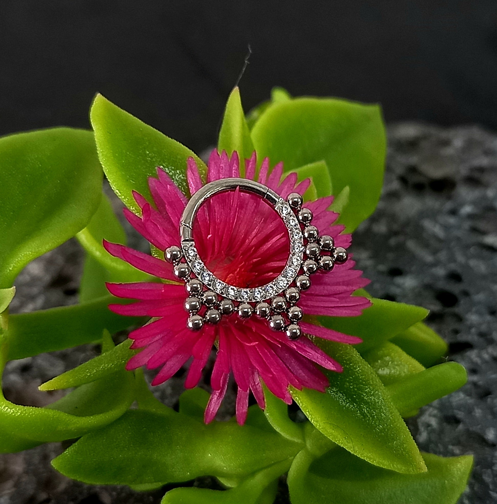 Argolla clicker brillos segmento articulado de racimos