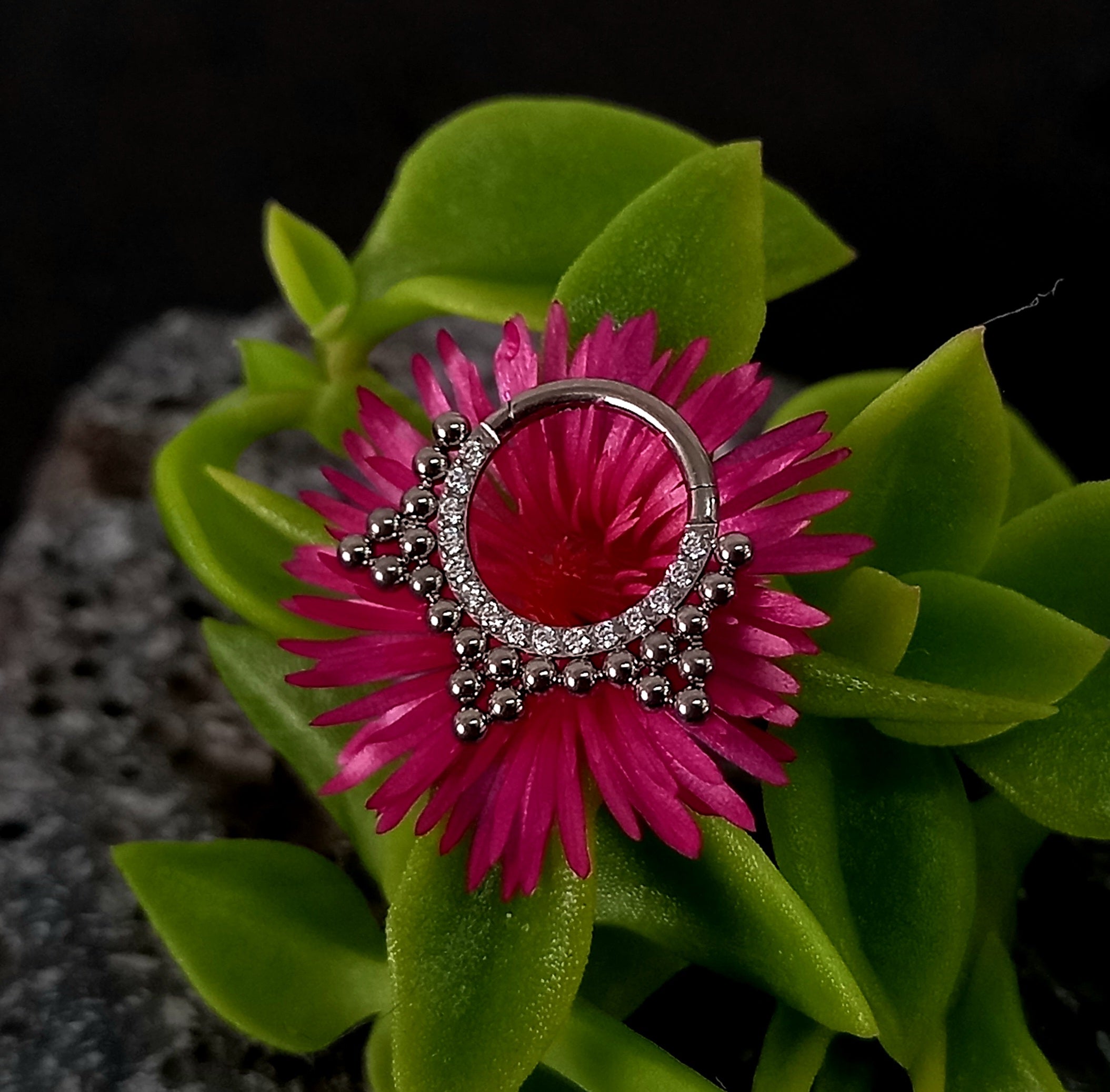 Argolla clicker brillos segmento articulado de racimos