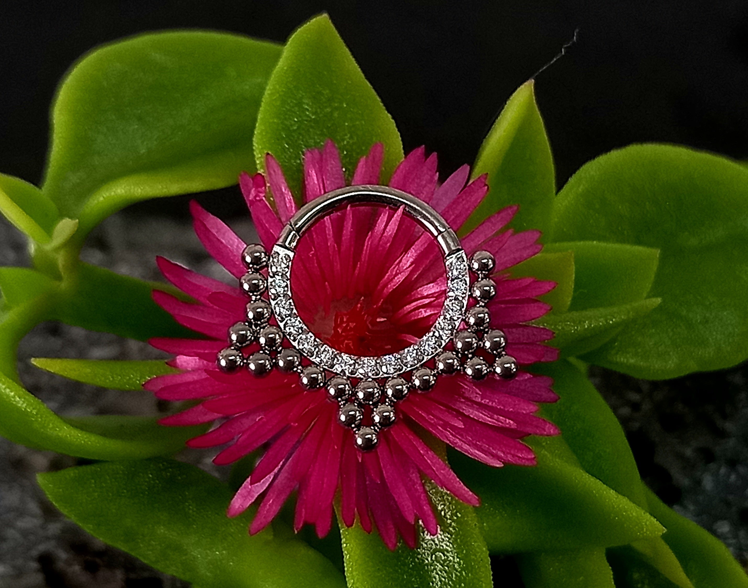 Argolla clicker brillos segmento articulado de racimos