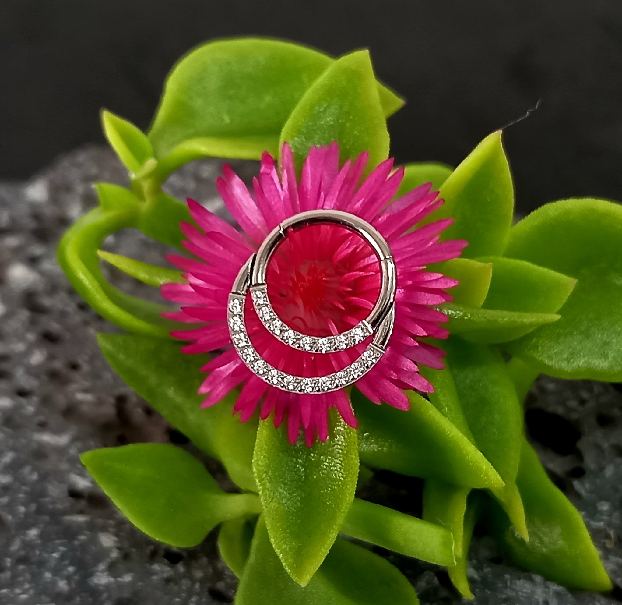 Argolla clicker doble argolla brillos