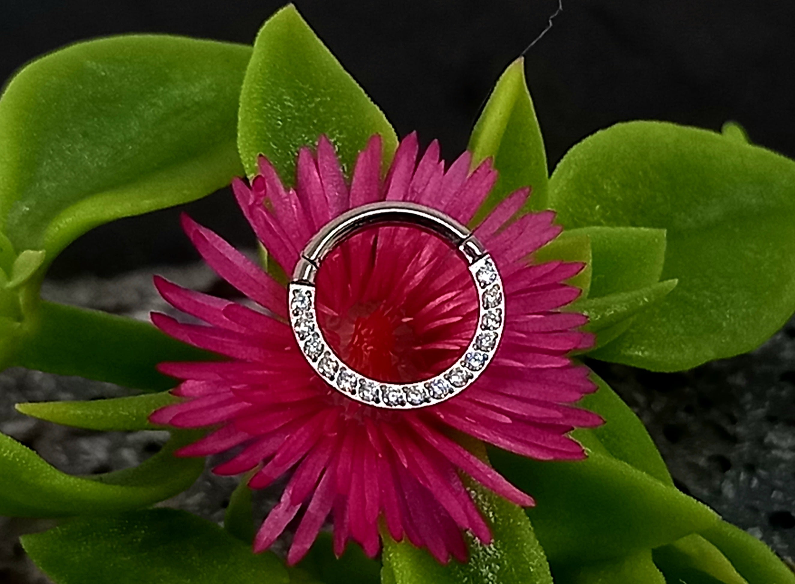 Argolla clicker brillo frontal clear