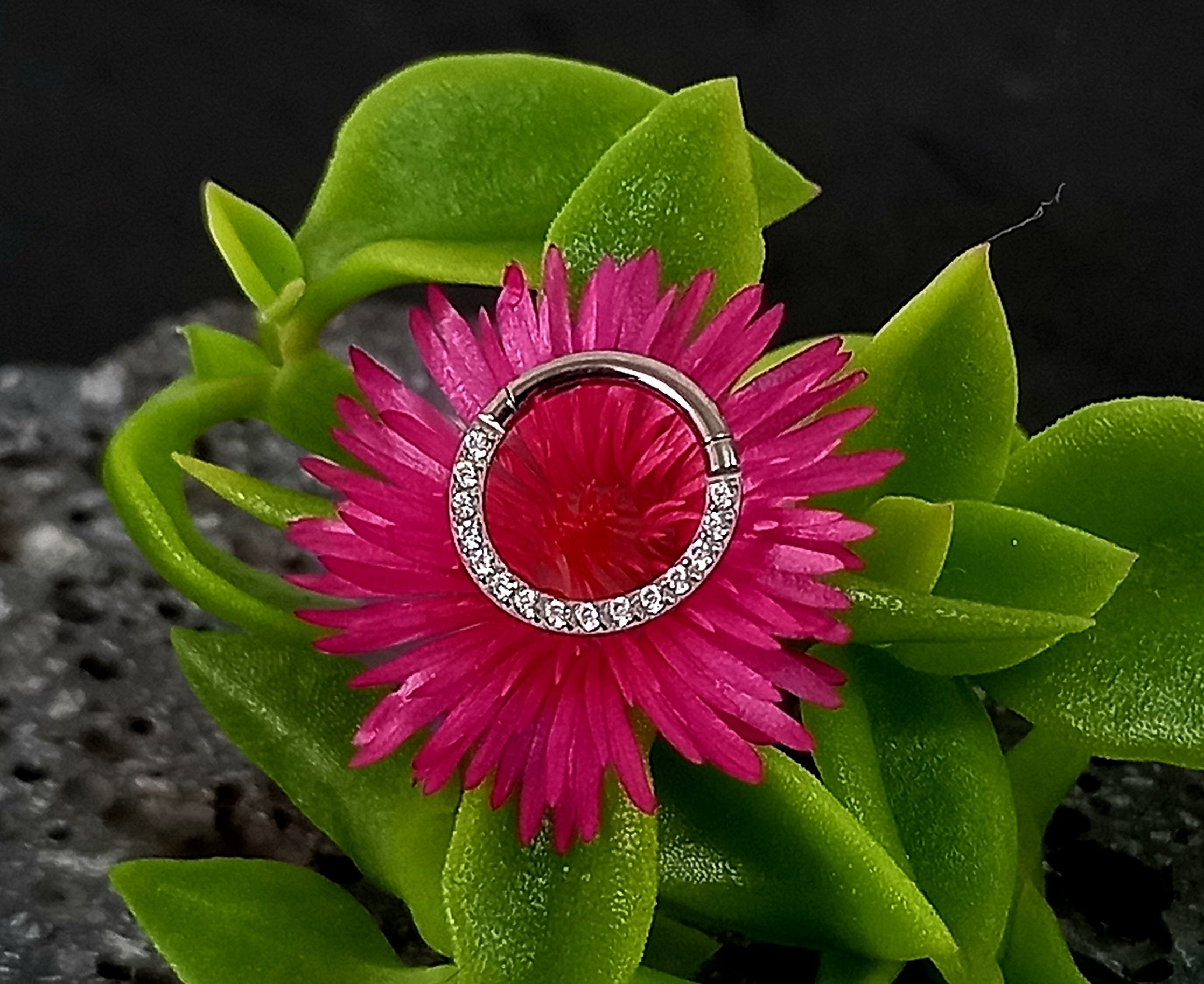 Argolla clicker brillo frontal clear