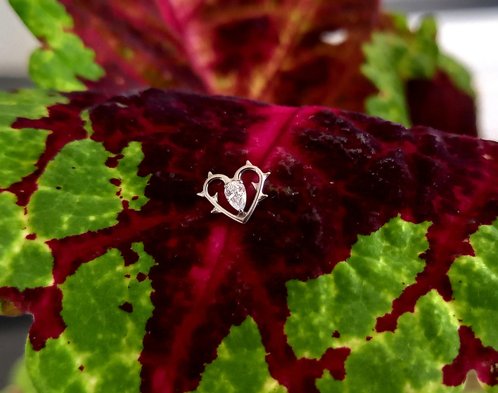 Corazón con púas  - titanio grado implante ASTM F-136