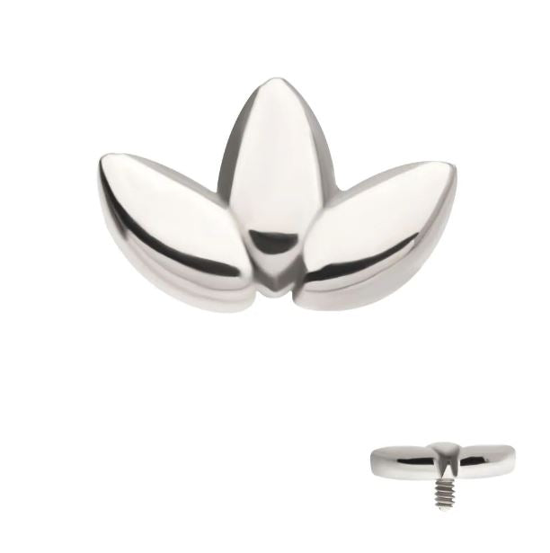 Marquesa - titanio grado implante ASTM F-136