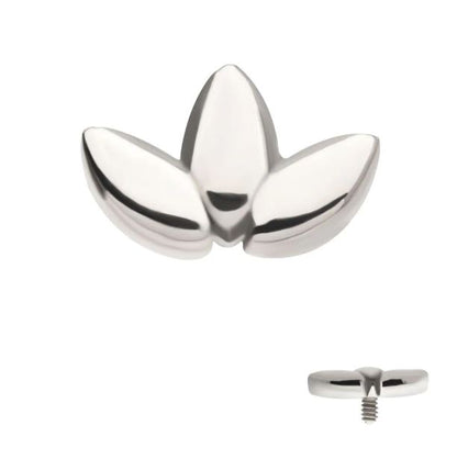 Marquesa - titanio grado implante ASTM F-136