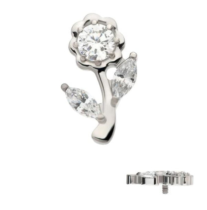Flor Cz clear - titanio grado implante ASTM F-136