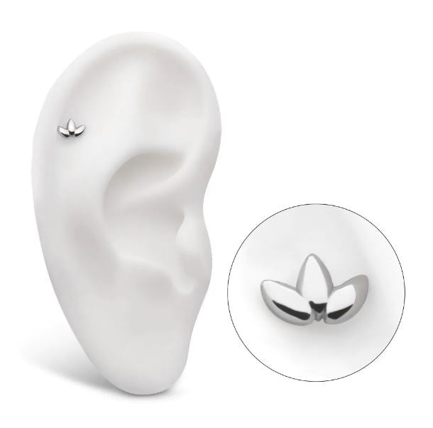 Marquesa - titanio grado implante ASTM F-136