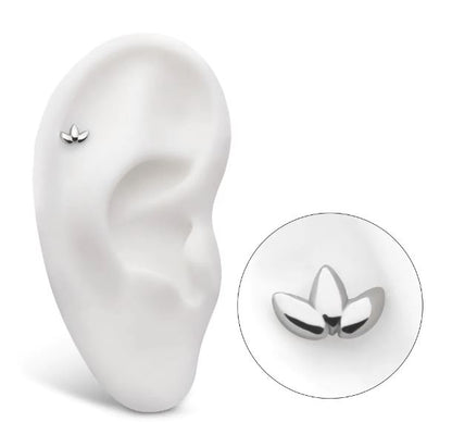 Marquesa - titanio grado implante ASTM F-136