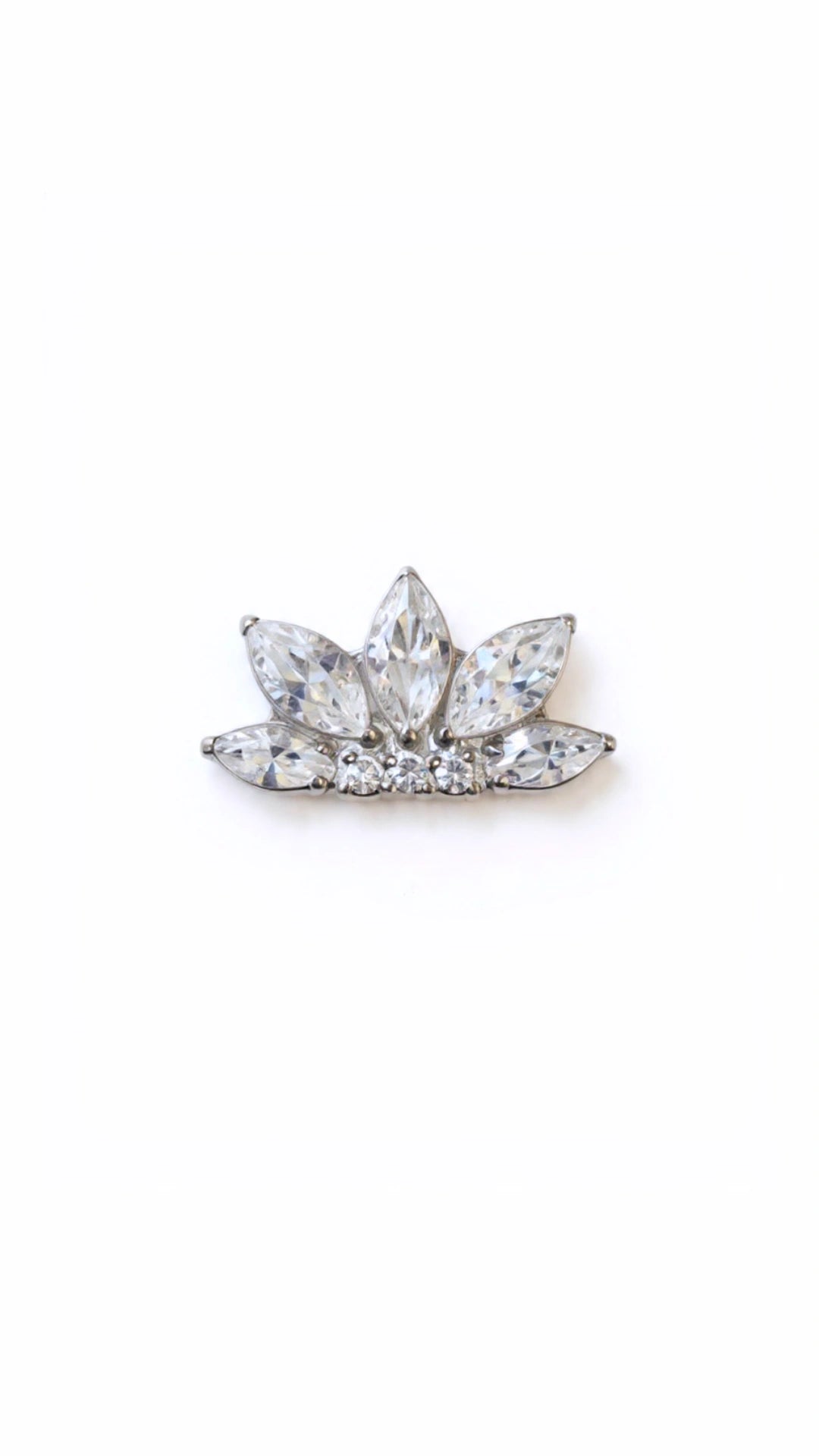 Cinco marquesa con zircon - titanio grado implante ASTM F-136