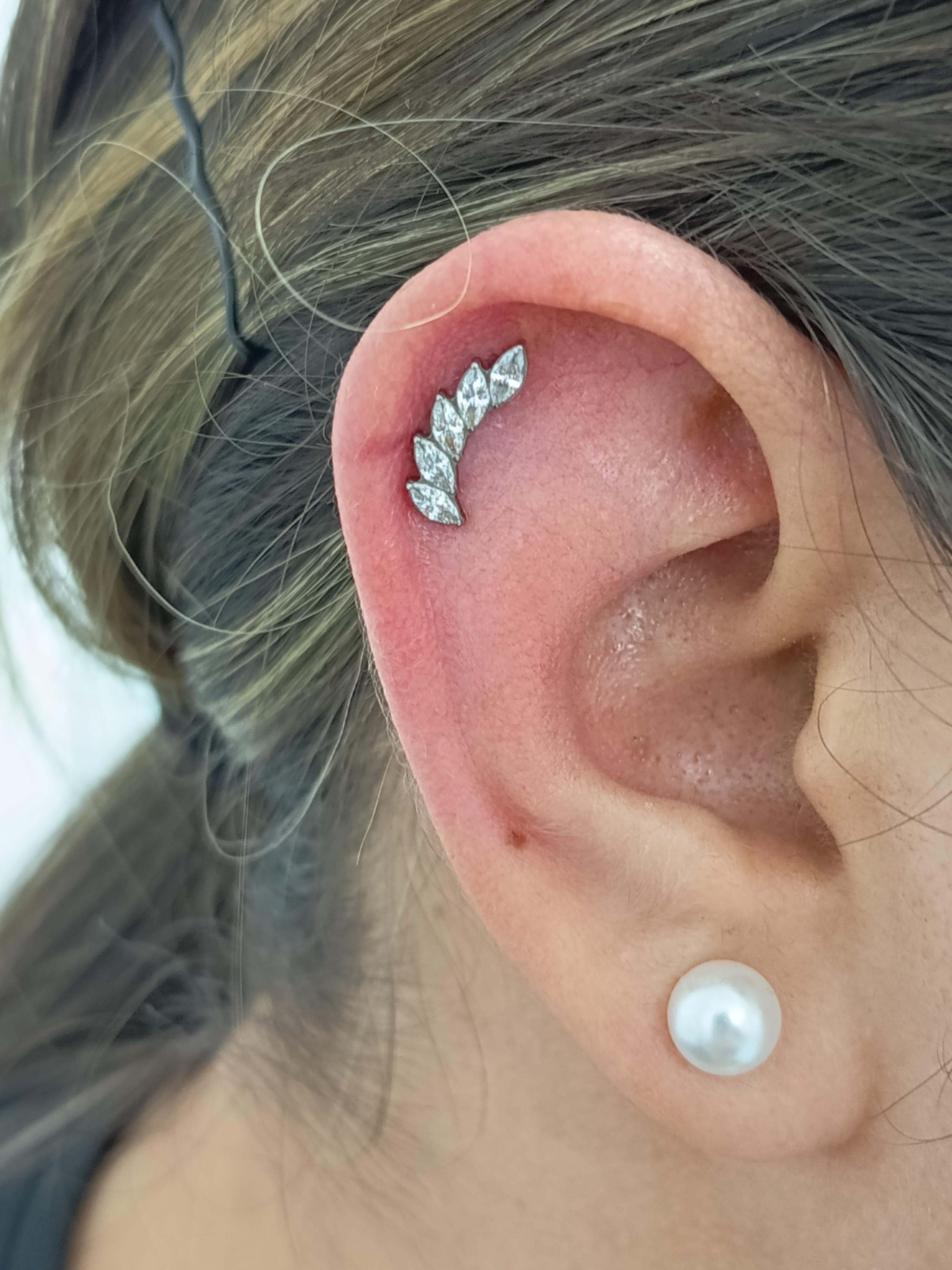 Media luna marquesa 5 puntas lateral  - titanio grado implante ASTM F-136