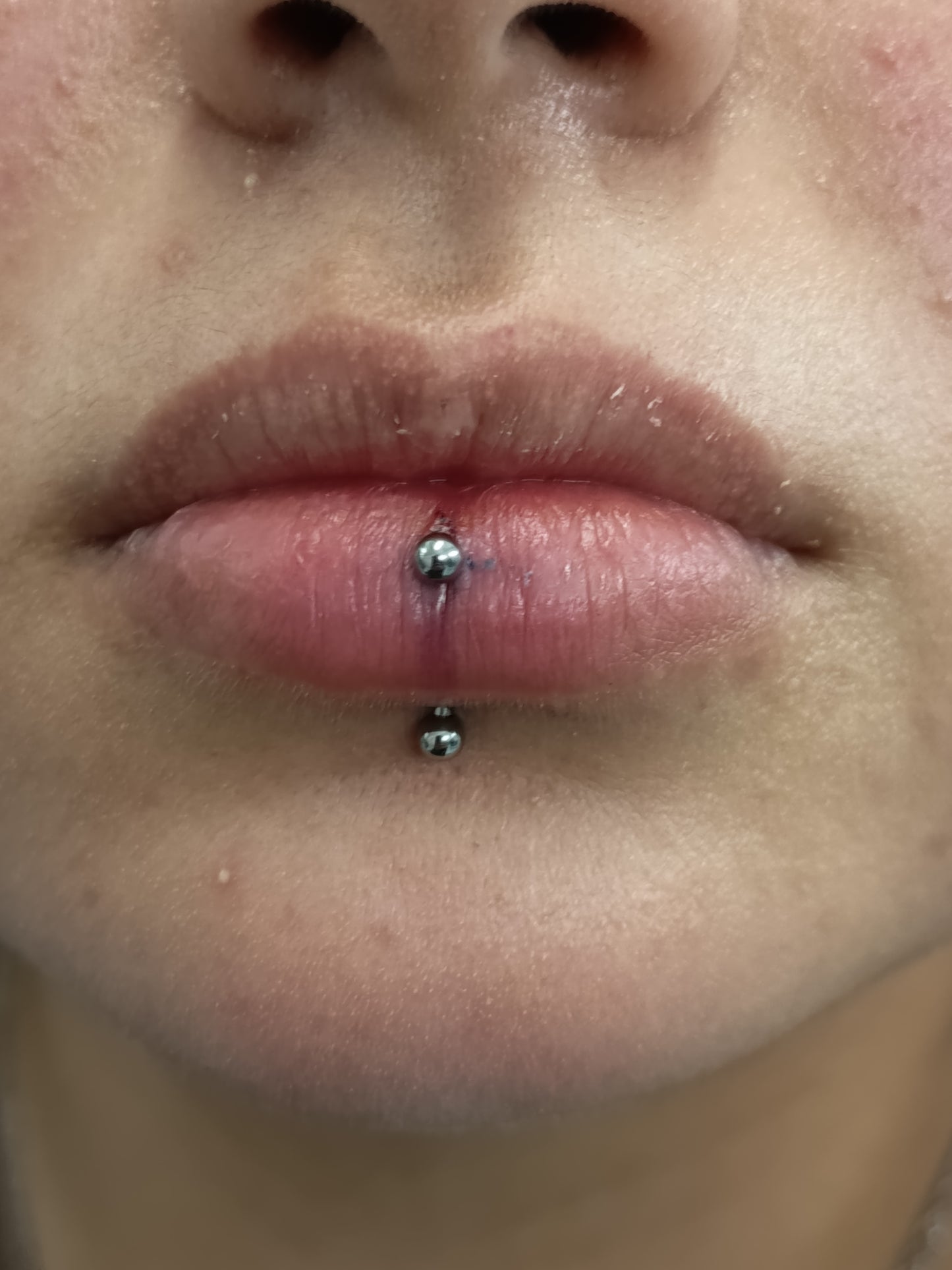 Titanio grado implante. Barbell curvo clásico