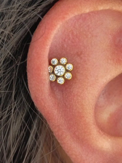 Flor 7 brillos  - titanio grado implante ASTM F-136