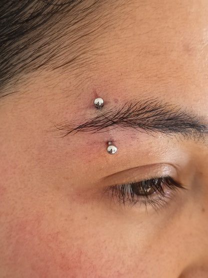 Titanio grado implante. Barbell curvo clásico