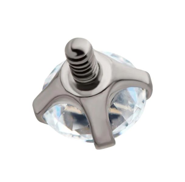 Punto de luz Prong Set - titanio grado implante ASTM F-136